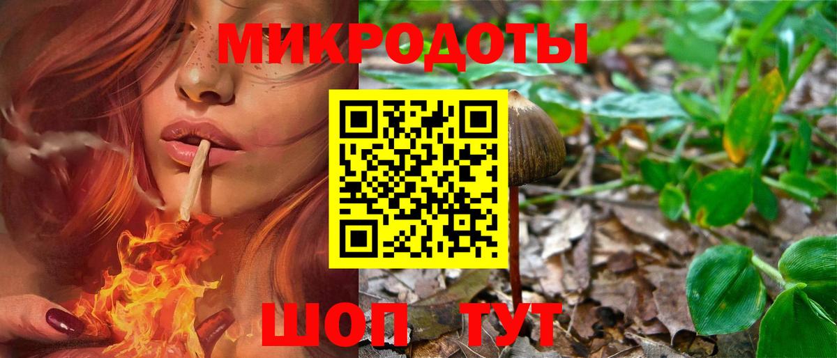Псилоцибиновые грибы Cubensis  Вход с VPN  Галлюциногенные грибы Psilocybe  Альметьевск 